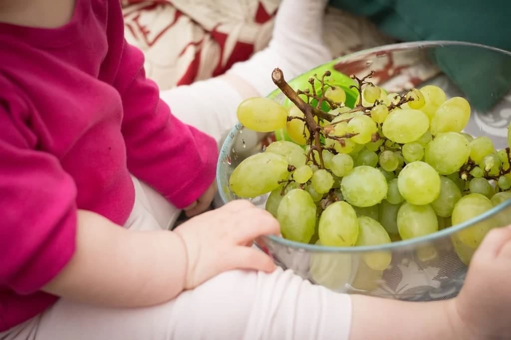 Les bases d'une alimentation saine pour les tout-petits